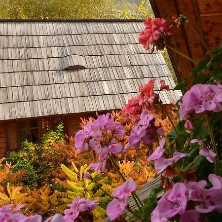 Woodenhouse Maramures Vişeu de Sus Buitenkant foto
