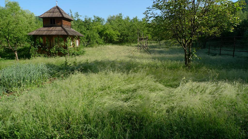 Woodenhouse Maramures Vişeu de Sus Buitenkant foto